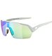 Sunglasses Alpina TURBO HR