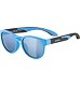 Sunglasses Alpina JOLA
