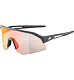 Sunglasses Alpina SONIC HR QV