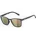 Sunglasses Alpina YEFE POL