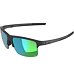 Sunglasses Alpina Eagle Q-Lite