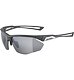 Sunglasses Alpina NYLOS HR