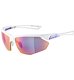 Sunglasses Alpina NYLOS HR