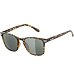Sunglasses Alpina YEFE