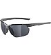 Sunglasses Alpina DEFEY HR