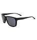 Sunglasses Alpina RAYONNE