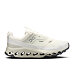 Mens Outdoor Shoes On Cloudhorizon WP