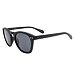 Sunglasses Alpina SUNBEAM