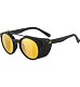 Sunglasses Alpina GLACE POL