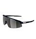 Sunglasses Alpina Turbo Pro Q-Lite