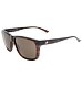 Sunglasses Alpina RAYONNE