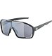 Sunglasses Alpina BONFIRE