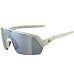 Sunglasses Alpina TURBO HR