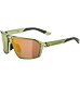 Sunglasses Alpina SWIFT