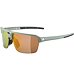 Sunglasses Alpina SWIFT HR