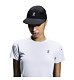 Cap On Performance Cap