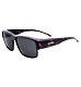 Sunglasses Alpina CONCEAL P