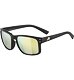 Sunglasses Alpina KOSMIC