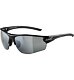 Sunglasses Alpina Tri-Scray 2.0 HR