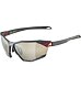 Sunglasses Alpina TWIST SIX Q