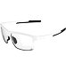 Sunglasses Alpina EAGLE V