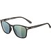 Sunglasses Alpina YEFE