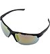 Sunglasses Alpina DEFEY HR