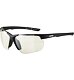Sunglasses Alpina DEFEY HR