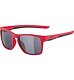 Sunglasses Alpina FLEXXY COOL KIDS I