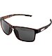 Sunglasses Alpina STREAM