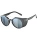 Sunglasses Alpina GLACE POL