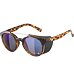 Sunglasses Alpina GLACE POL