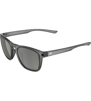 Sunglasses Alpina GLEAM