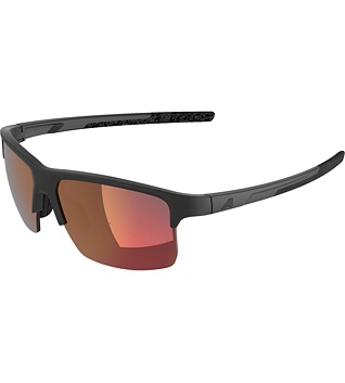Sunglasses Alpina Eagle Q-Lite
