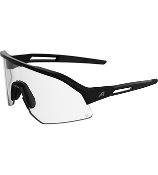 Sunglasses Alpina SONIC HR M V