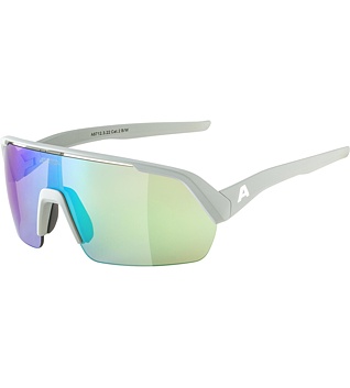 Sunglasses Alpina TURBO HR
