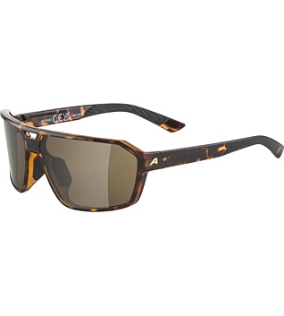 Sunglasses Alpina SWIFT