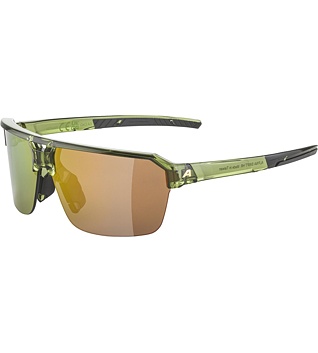 Sunglasses Alpina SWIFT HR