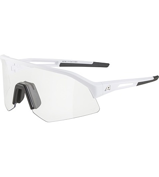 Sunglasses Alpina SONIC HR V