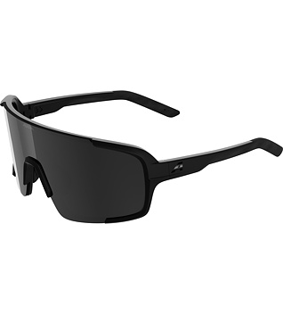Sunglasses Alpina LUMIN