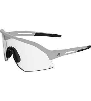 Sunglasses Alpina SONIC HR M V