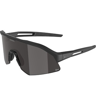Sunglasses Alpina Sonic HR M Q-Lite