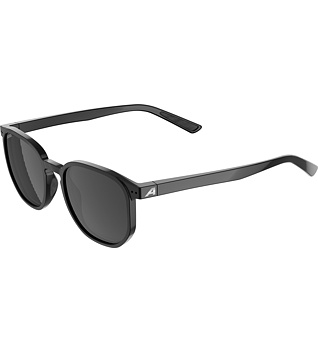 Sunglasses Alpina DIMONT