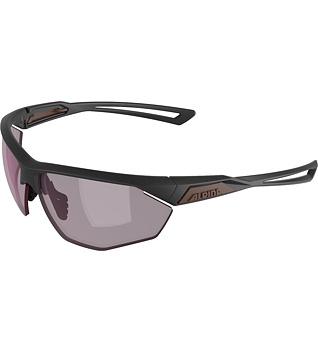 Sunglasses Alpina NYLOS HR