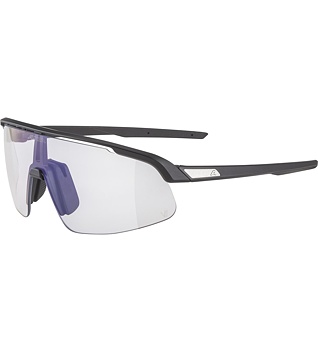 Sunglasses Alpina TURBO PRO S V