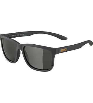 Sunglasses Alpina BURST