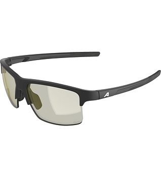 Sunglasses Alpina Eagle Q-Lite