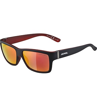 Sunglasses Alpina Kacey