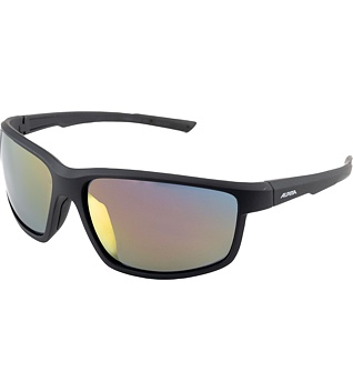 Sunglasses Alpina DEFEY