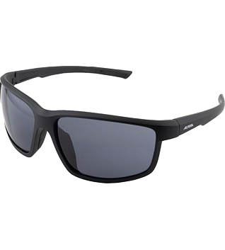 Sunglasses Alpina DEFEY